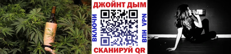 Cannafood конопля  Новокузнецк 