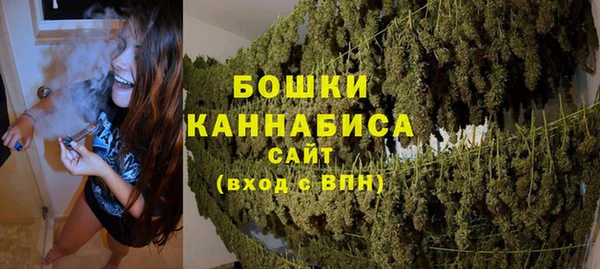 винт Богданович