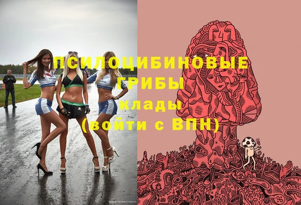 первитин Богородицк