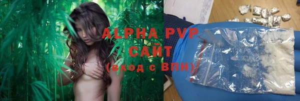винт Богданович