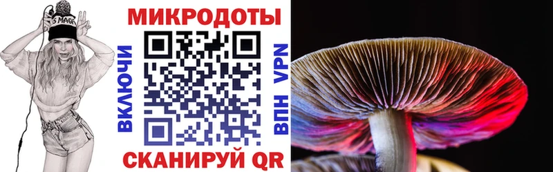 что такое   Новокузнецк  Галлюциногенные грибы MAGIC MUSHROOMS 
